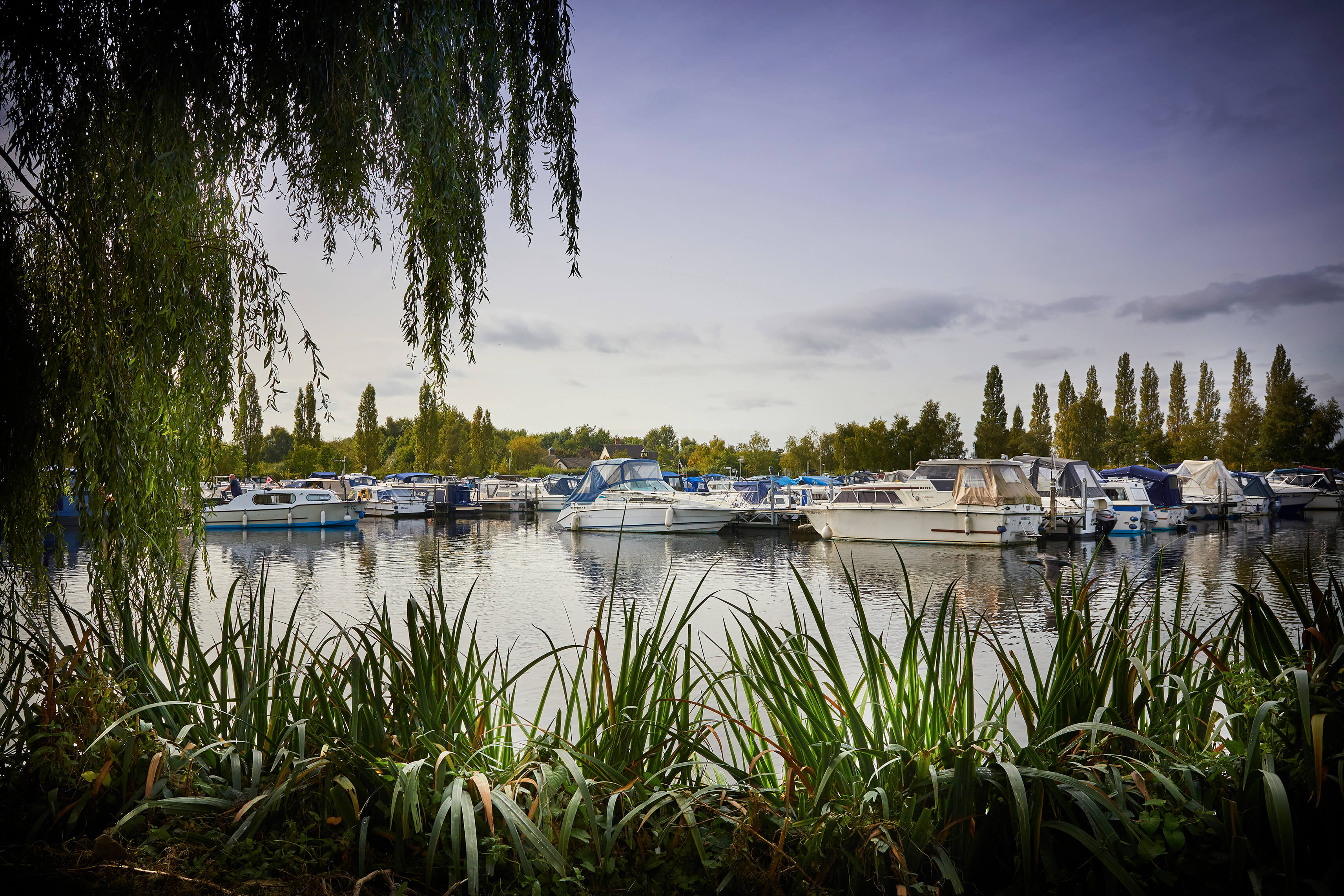 Sawley