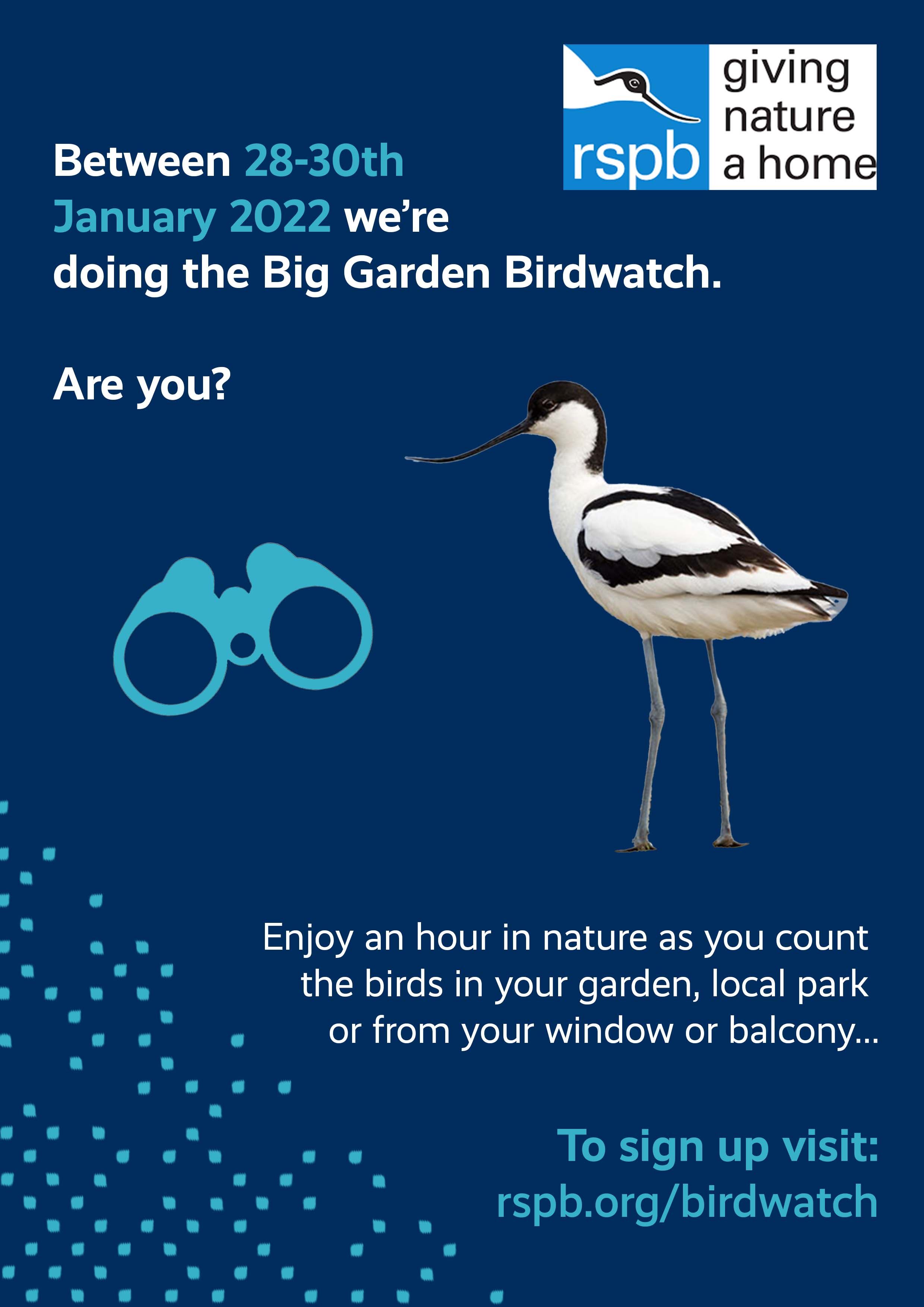 Big Garden Birdwatch
