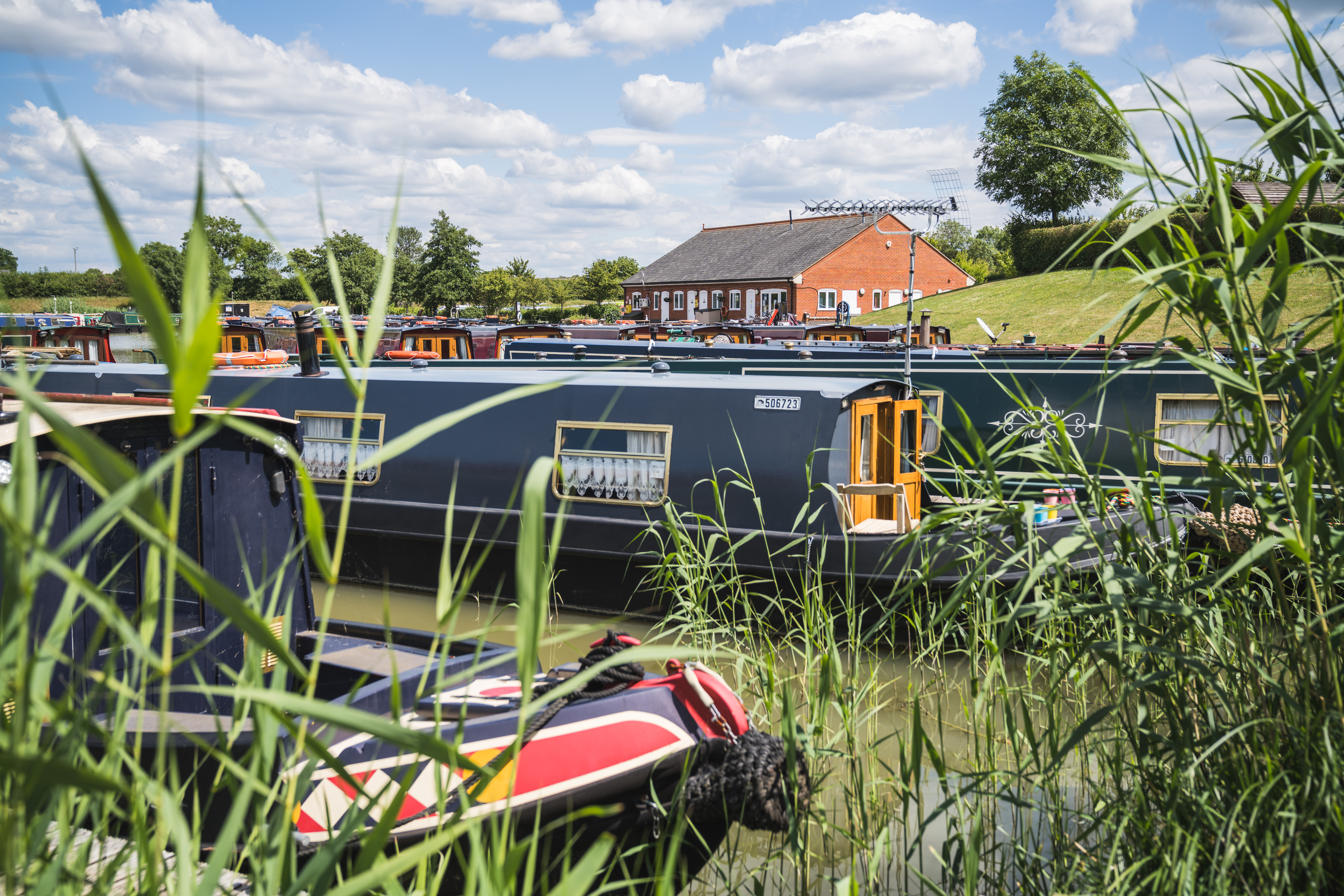 Narrowboats behind reeds.