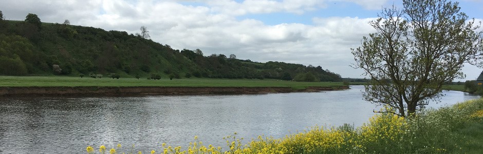 River Trent Hoveringham Upstream