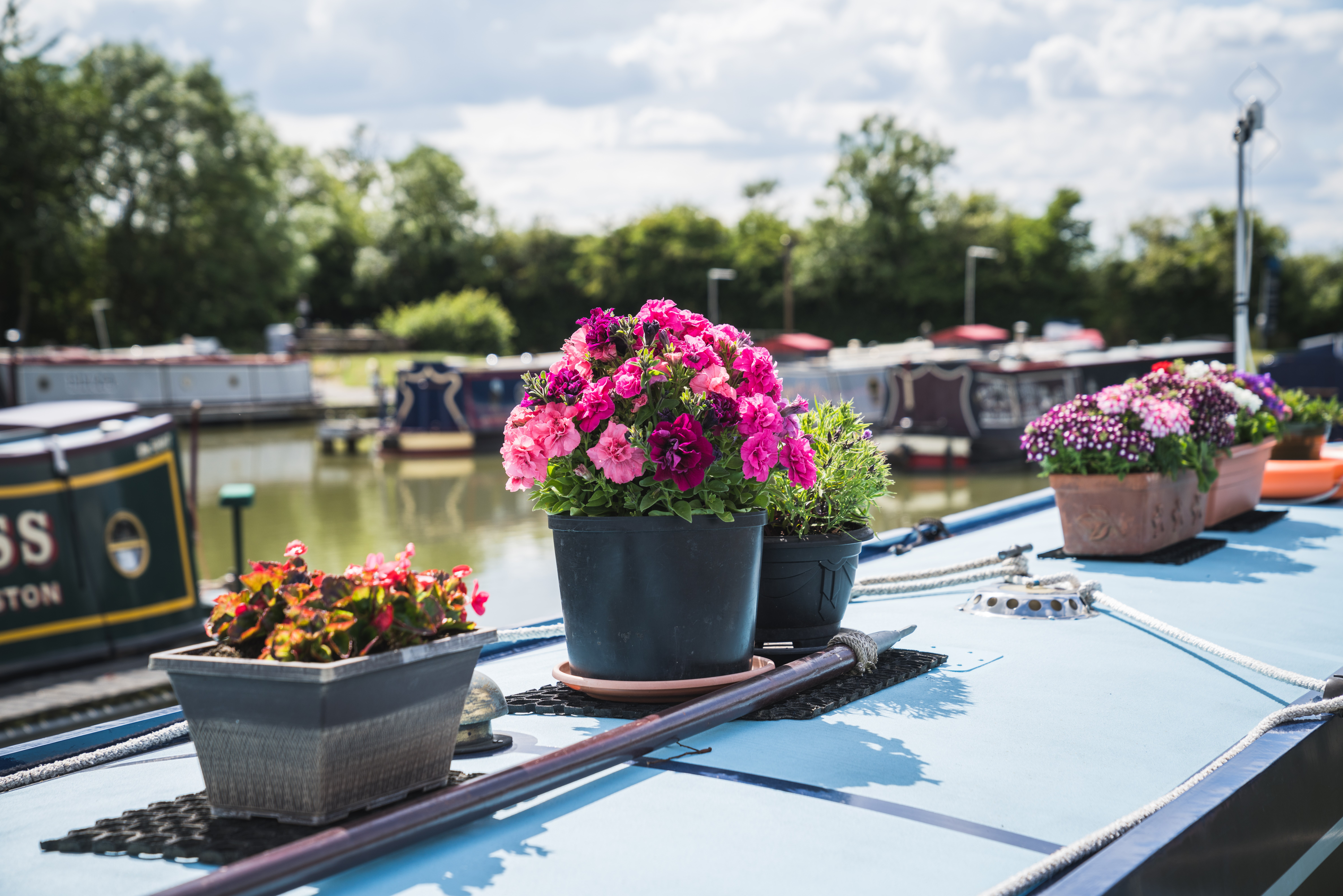 Flowers on the roof of a narrowboat.