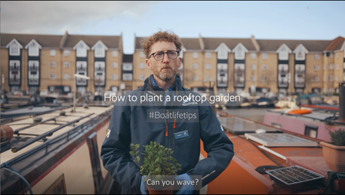 How To Plant A Rooftop Garden