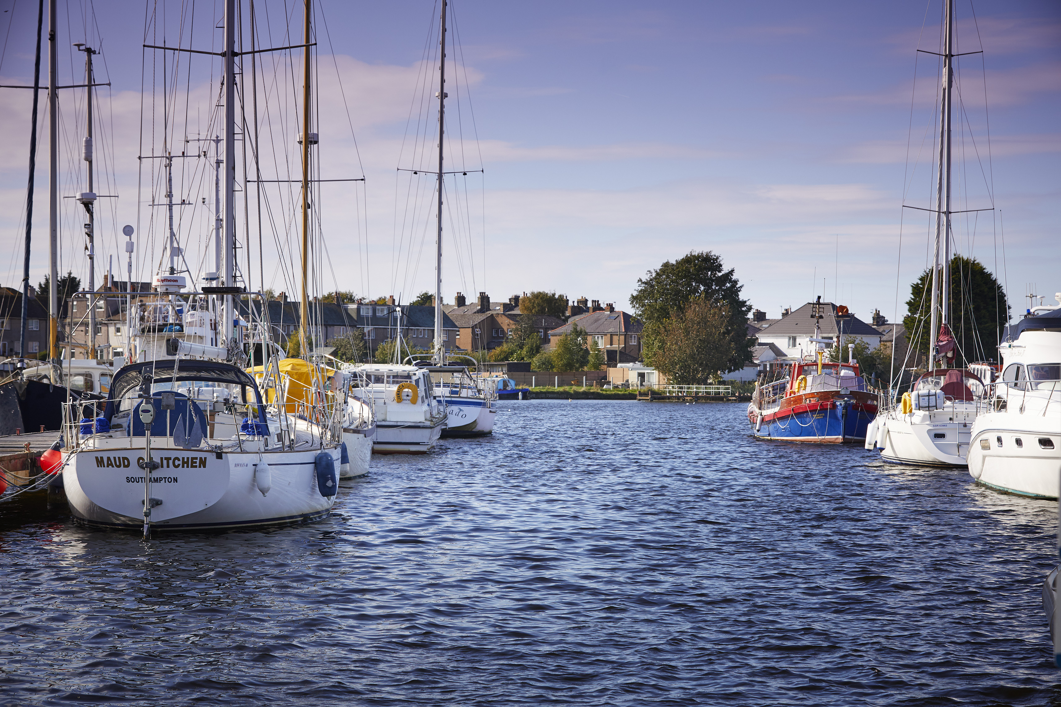 Boats no the marina with housing in the background