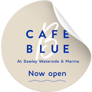 Aquavista Website Flash Cafe Blue